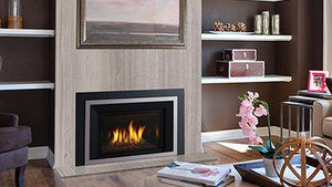 Regency® Horizon® HRI4E Gas Fireplace Insert
