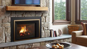 Regency® Liberty® LRI6E Gas Fireplace Insert