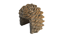 Realfyre Pine Cone Decorative Cover