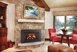 Regency® Energy™ E33 Gas Fireplace Insert