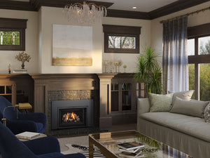 Regency® Atmosphere™ G125LE Gas Insert