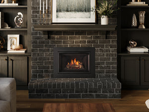 Regency® Atmosphere™ Gi27LE Gas Insert