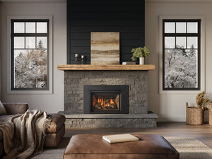 Regency® Atmosphere™ Gi33LE Gas Insert
