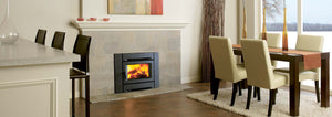 Regency Alterra CI1150 Wood Fireplace Insert