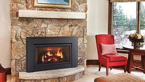 Regency® Energy™ E33 Gas Fireplace Insert