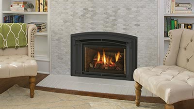 Regency® Liberty® LRI4E Gas Fireplace Insert