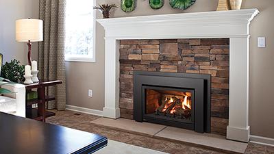 Regency® Energy™ U31 Gas Fireplace Insert
